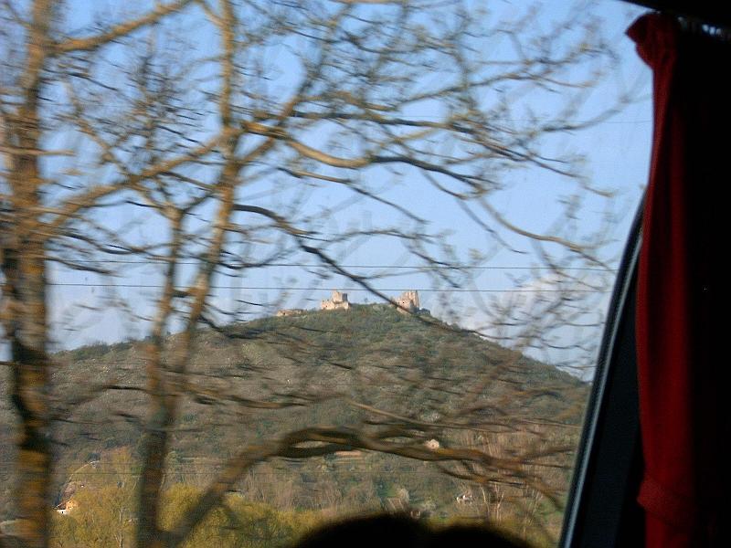 20100417 077.jpg